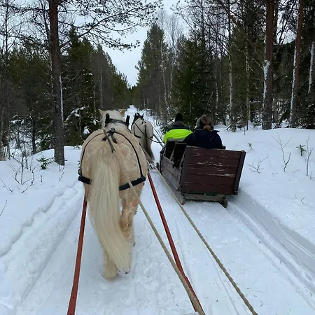 Family Fun In Engerdals Heart Nymoen