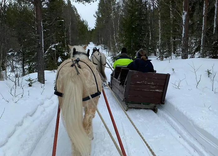 Family Fun In Engerdals Heart Nymoen