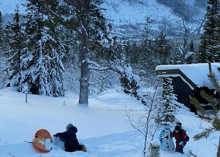 Family Fun In Engerdals Heart Nymoen
